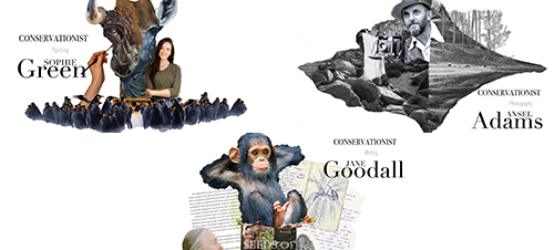 3 Collages of Conservationist Artists
